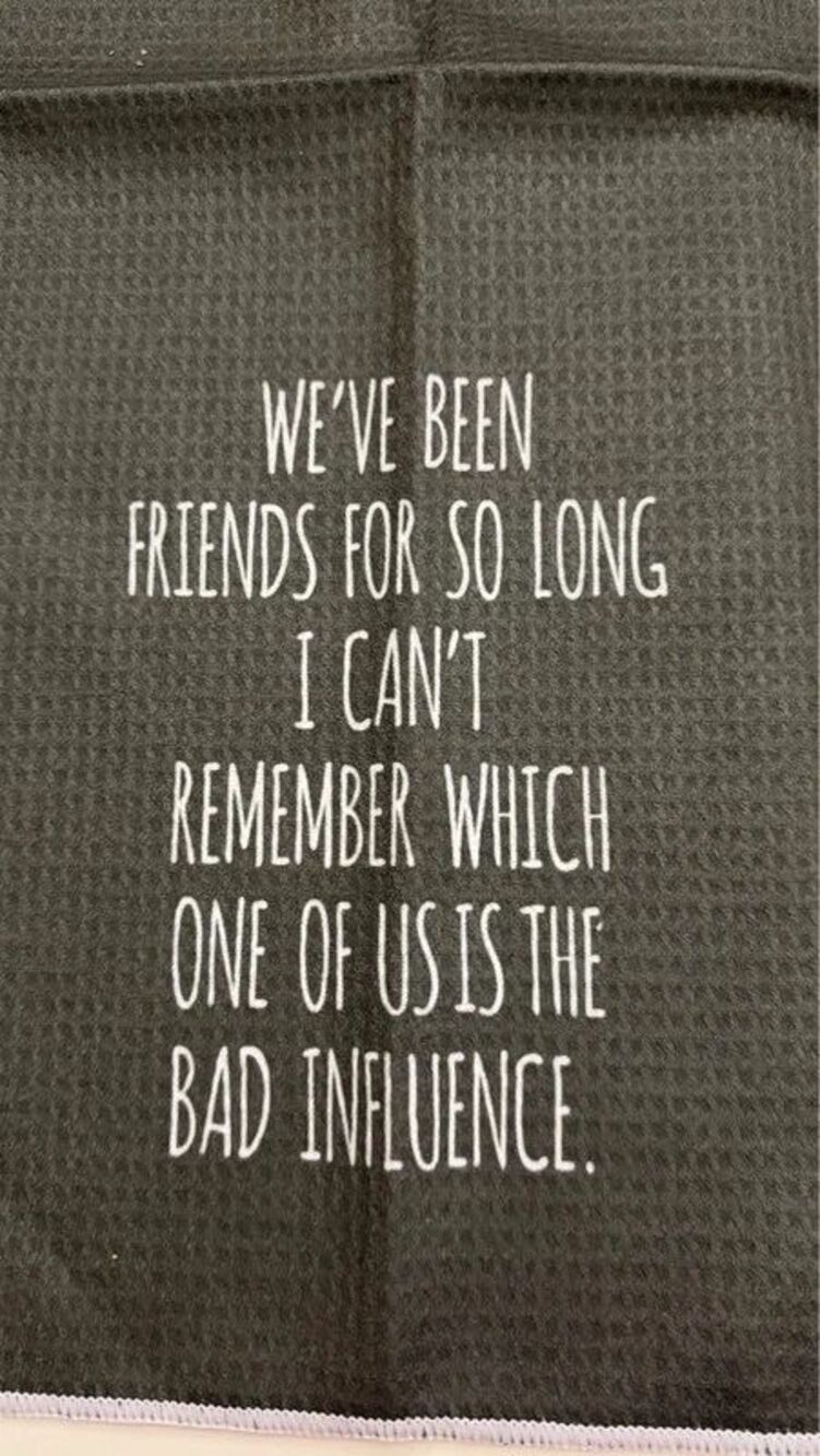 Funny Friendship Dish Towel Best Friend Gift BFF Kitchen Tea Towel Bad Influence